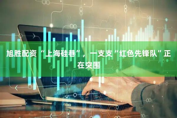旭胜配资 “上海硅巷”，一支支“红色先锋队”正在突围
