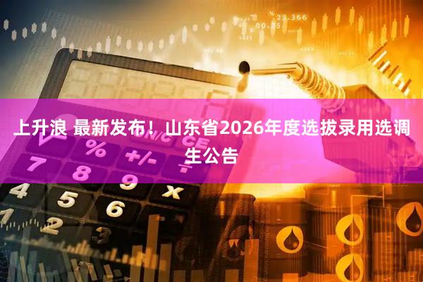 上升浪 最新发布！山东省2026年度选拔录用选调生公告